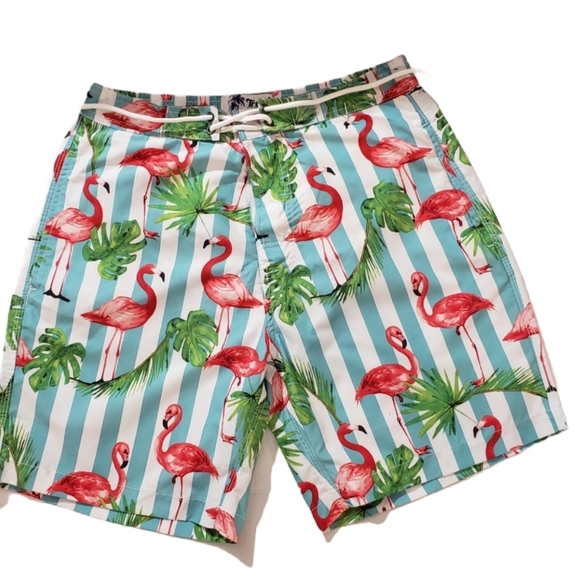 Trunks Surf & Swim Other - Trunks Surf & Swim Striped Flamingo Swim Trunk